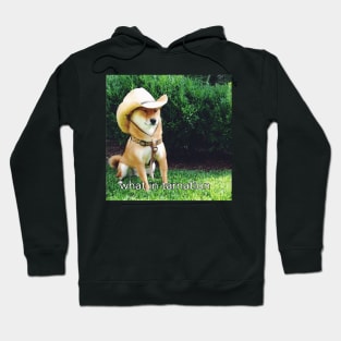 What in Tarnation Dog Hoodie